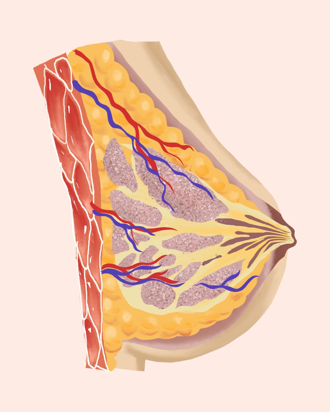 Clinica de Imagisticã și Senologie Dr. Andra URSU – Senologie şi Ecografie mamarã Iași